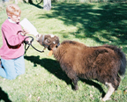 Bottle Feeding